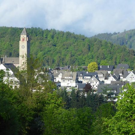 Apartment-Sauerland Шмалленберг Экстерьер фото